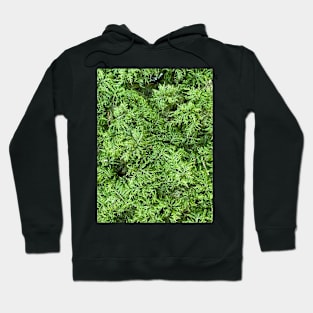 Green Moss Nature Forest Hoodie